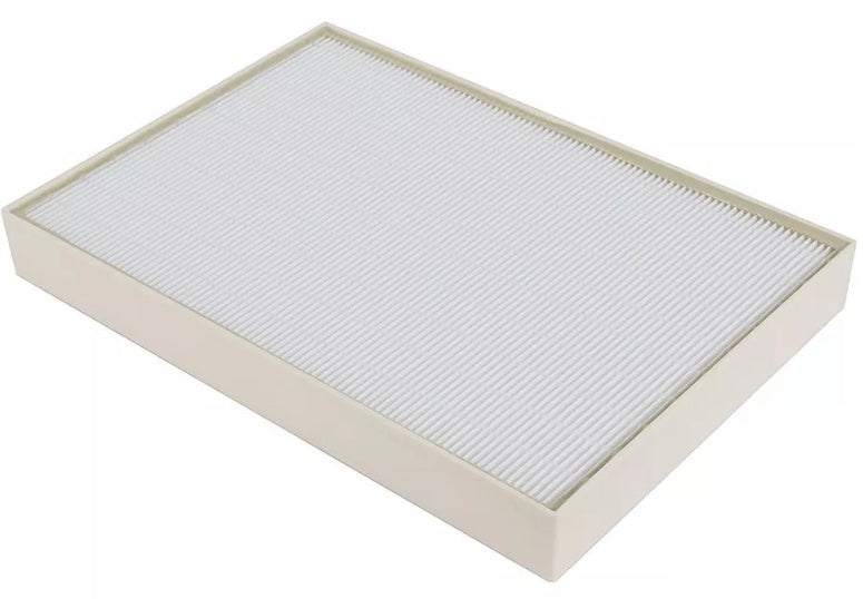 DriEaz 500 Hepa filter 2 pack